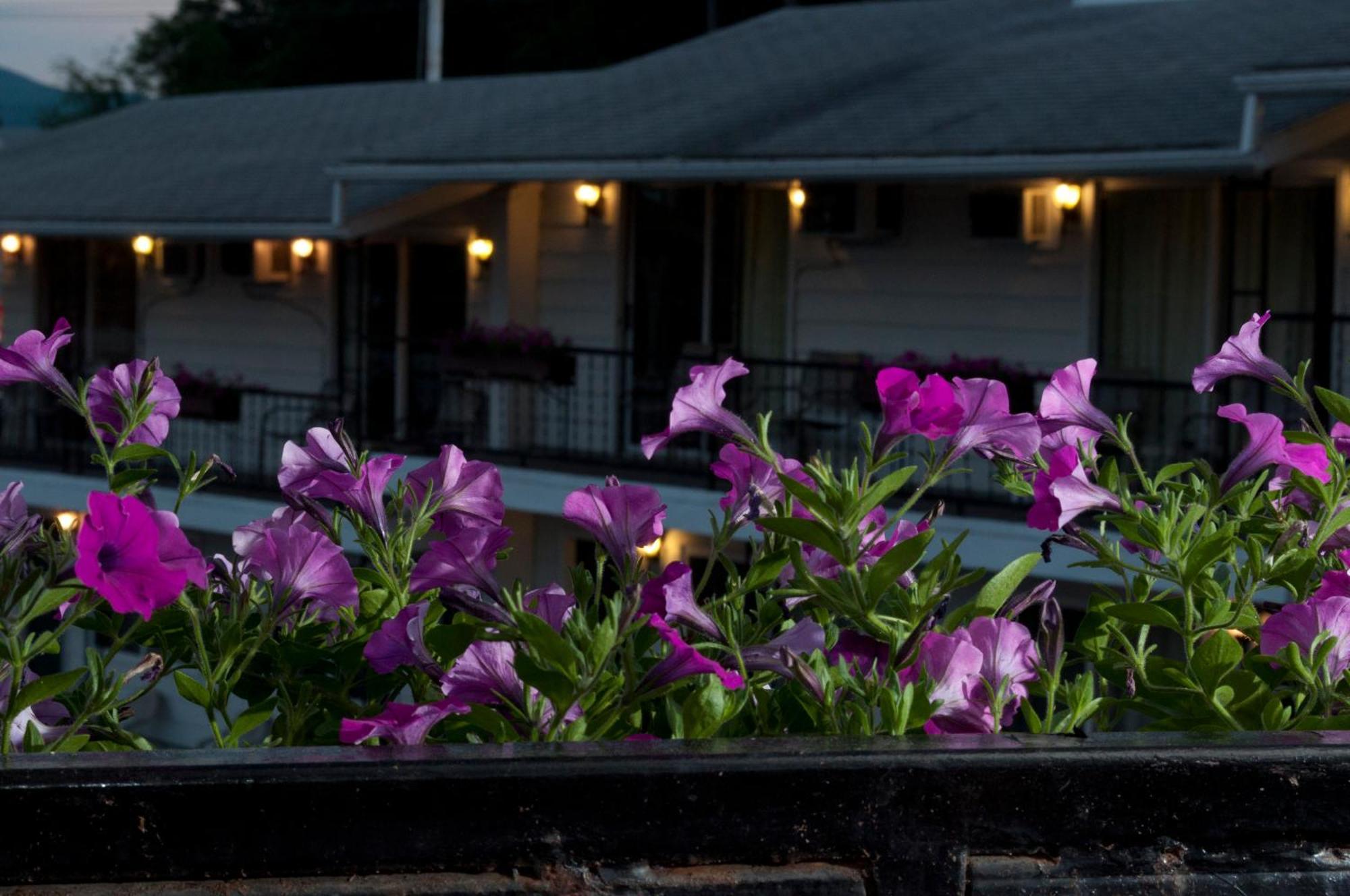 The Lake George Inn Esterno foto